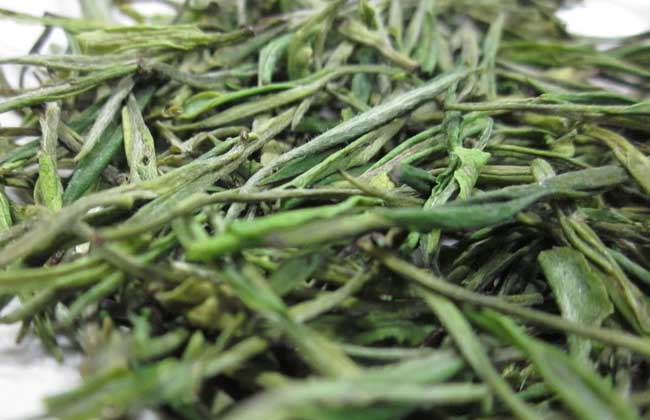 安吉白茶价格多少钱