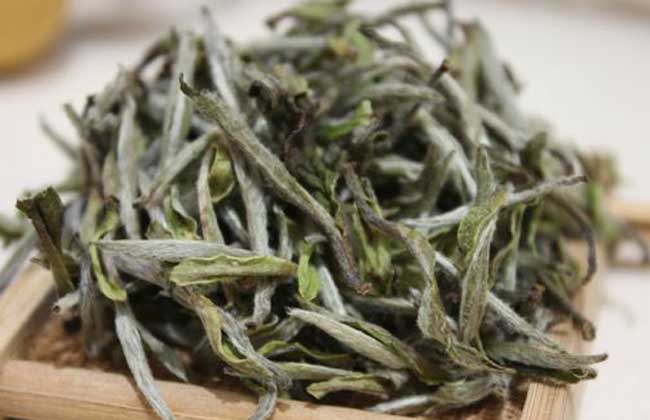 新白茶