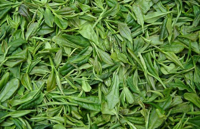 龙井茶的来历和传说