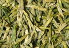 龙井茶是绿茶吗？