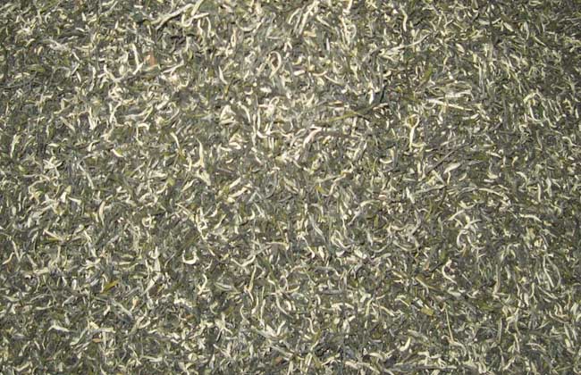 毛尖茶的冲泡方法