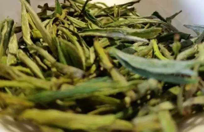 黄山毛尖价格多少钱