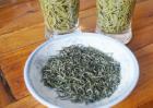 信阳毛尖属于什么茶？