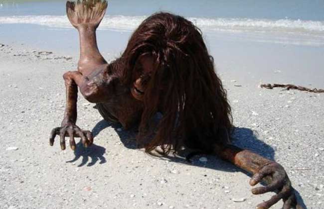 美人鱼真身吓人图片