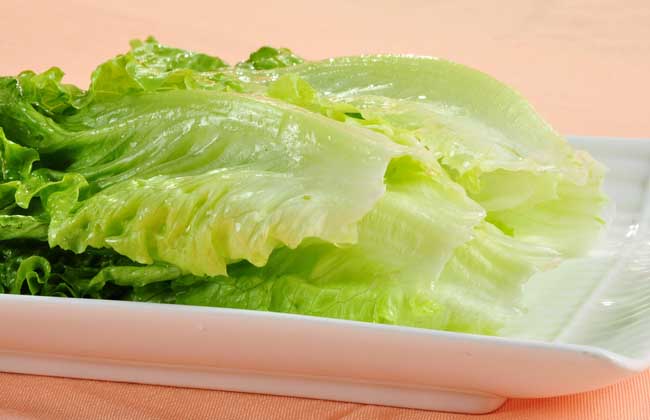 生菜是酸性还是碱性