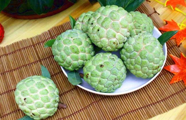释迦果价格多少钱？