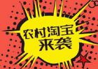 农村淘宝合伙人申请条件