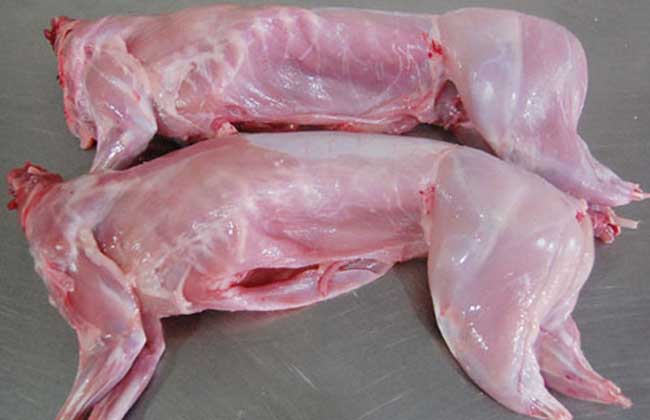 兔肉不能和什么一起吃？