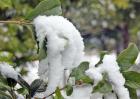 六月飞雪是怎样形成的？