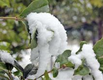 六月飞雪是怎样形成的？