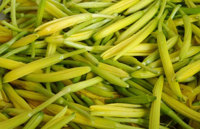 黄花菜有哪些禁忌？