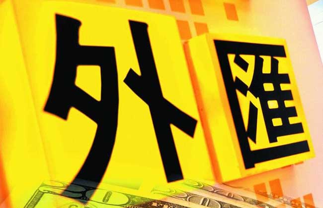 外汇风险管理策略
