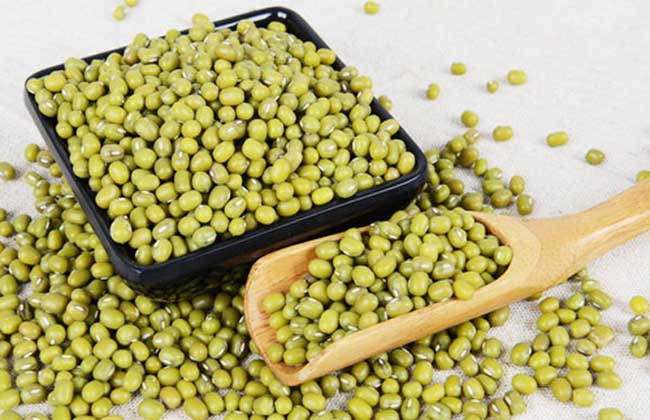 孕妇可以喝绿豆汤吗