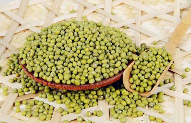 绿豆汤的做法大全