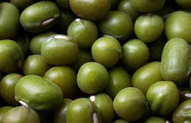 绿豆不能和什么一起吃？