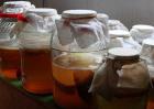 红茶菌的功效与作用