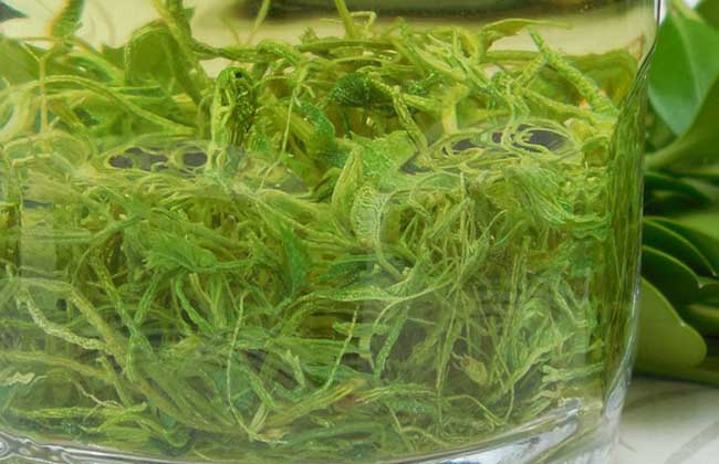 绞股蓝茶多少钱一斤