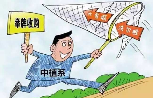 举牌概念股