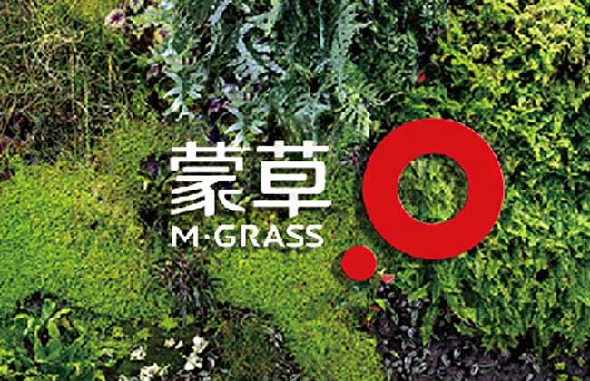 蒙草抗旱