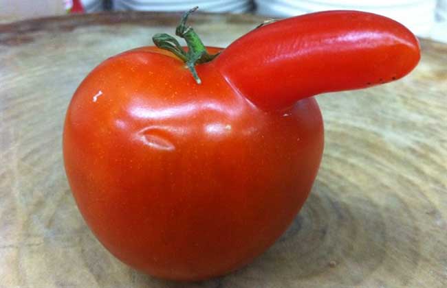 变异蔬菜