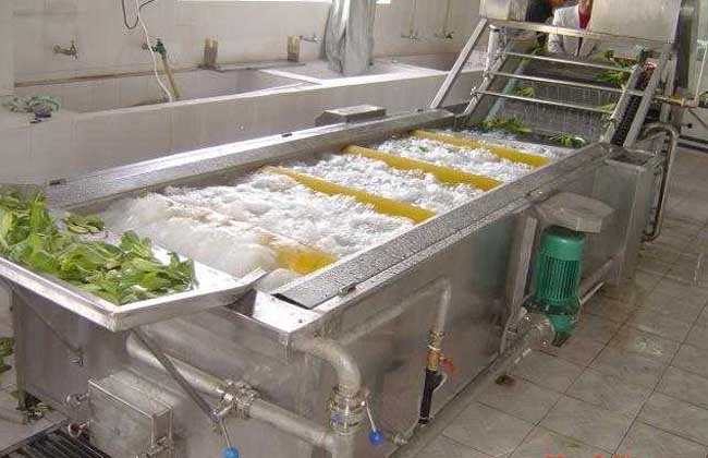 蔬菜清洗机