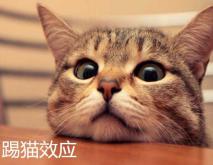 踢猫效应是什么意思？