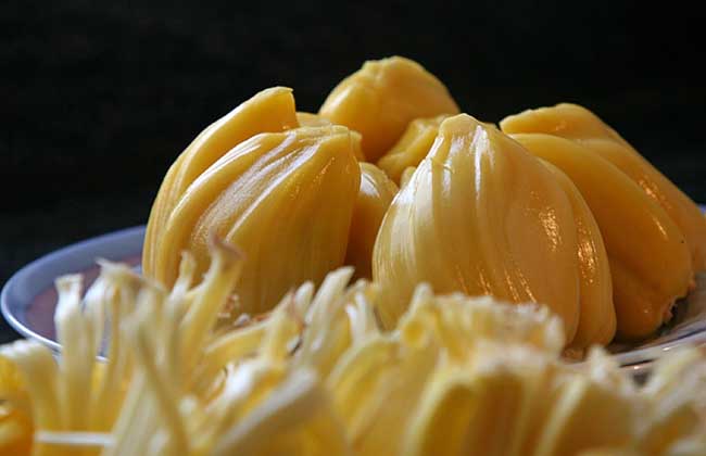 菠萝蜜不能和什么同吃？