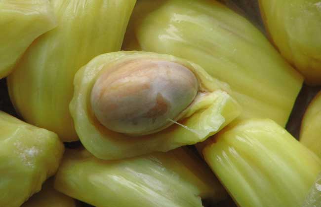 孕妇可以吃菠萝蜜吗？