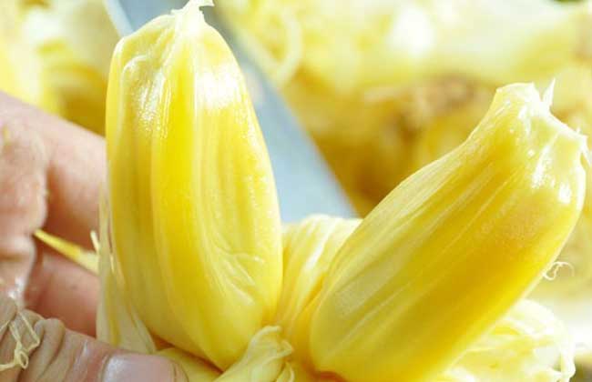 吃菠萝蜜能减肥吗？
