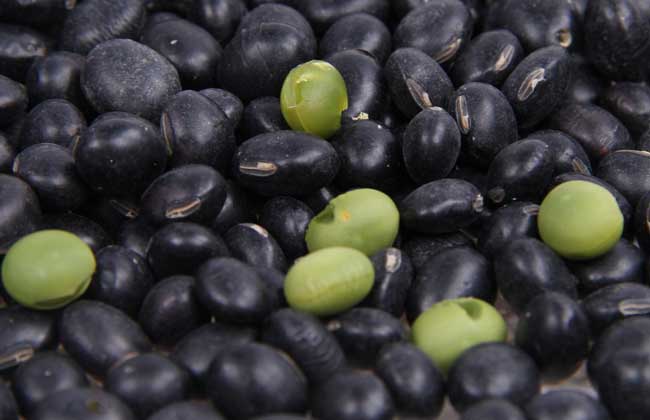 醋泡黑豆怎么吃最好？