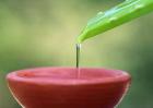 芦荟怎么做面膜？