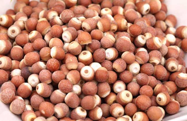 芡实的食用禁忌