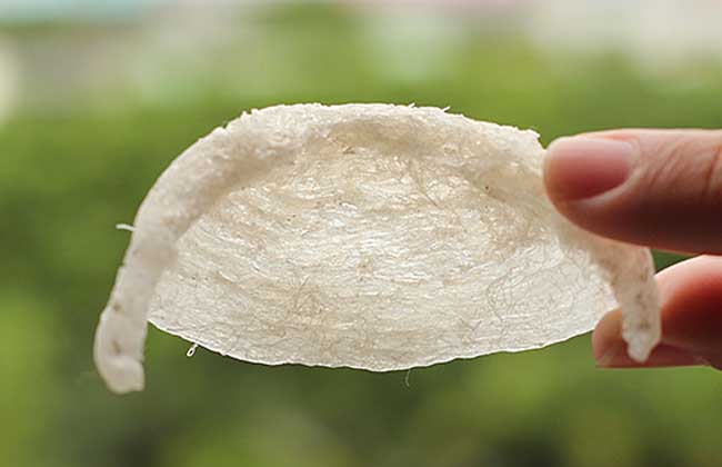 燕窝价格