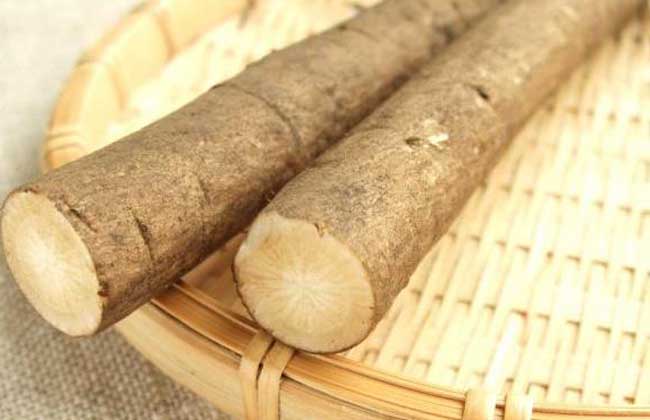 牛蒡怎么吃最有营养？