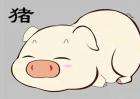 2017年属猪人的全年运势