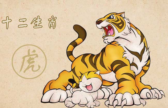 属虎的今年多大