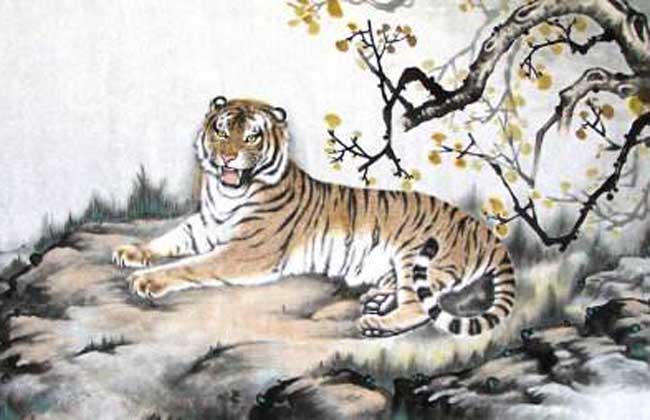属虎的今年多大