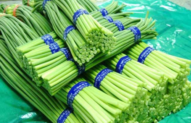 蒜苔多少钱一斤