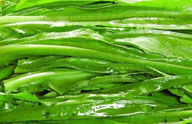 油麦菜可以生吃吗