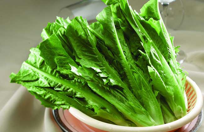 油麦菜的营养价值