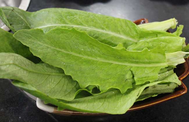 油麦菜的家常做法大全