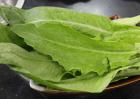 油麦菜的家常做法大全