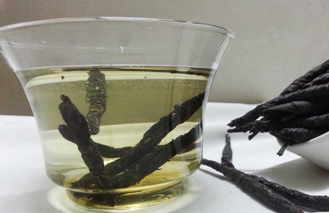 喝苦丁茶能减肥吗