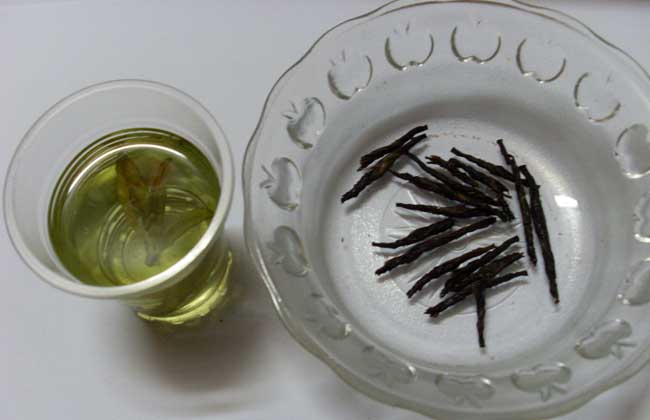 苦丁茶有什么好处