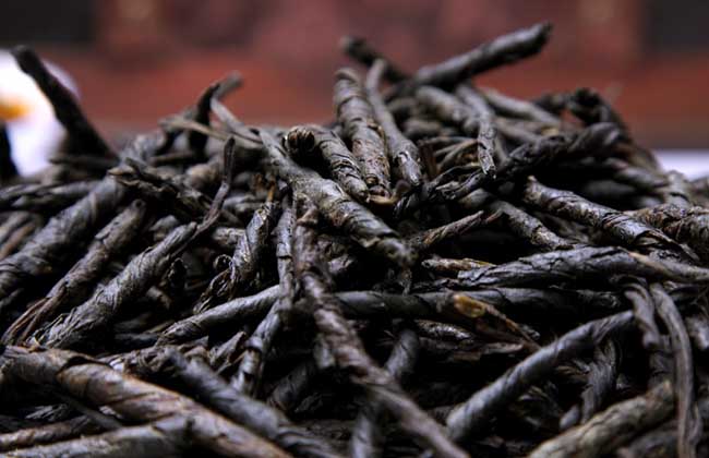 苦丁茶价格