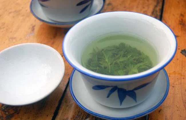 苦丁茶价格