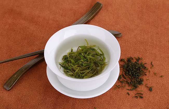苦丁茶属于什么茶？