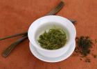 苦丁茶属于什么茶？