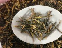 苦丁茶
