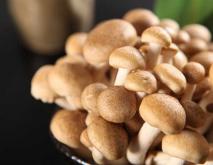 蟹味菇的家常做法大全